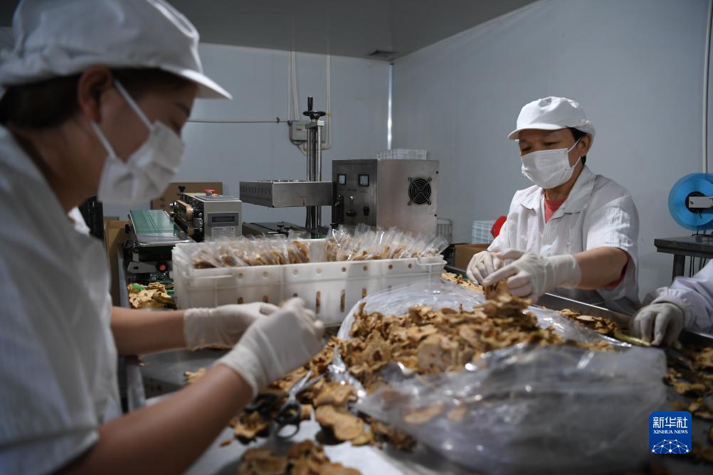 捕鱼达人3d版转移